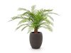 Designplants/Luca Lifestyle Alsophillia Farn Kunstpflanze (h:80 cm) mit Terreno Tall Balloon Blumentopf