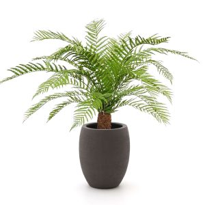 Designplants/Luca Lifestyle Alsophillia Farn Kunstpflanze (h:80 cm) mit Terreno Tall Balloon Blumentopf