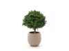 Designplants/Luca Lifestyle Buxus Kugel Kunstpflanze (h:40 cm) mit Bordo Balloon Blumentopf