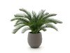 Designplants/Luca Lifestyle Cycas Palme Kunstpflanze (h:60 cm) mit Bordo Balloon Blumentopf