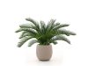 Designplants/Luca Lifestyle Cycas Palme Kunstpflanze (h:60 cm) mit Terreno Tall Balloon Blumentopf