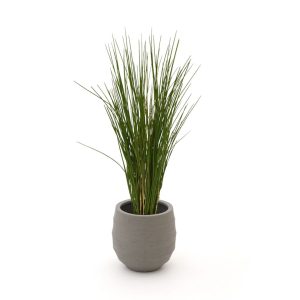 Designplants/Luca Lifestyle Gras Kunstpflanze (h:80 cm) mit Bordo Balloon Blumentopf