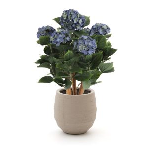 Designplants/Luca Lifestyle Hortensie Kunstpflanze (h:65 cm) mit Bordo Balloon Blumentopf