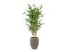 Designplants/Luca Lifestyle Japanischer Bambus Kunstpflanze (h:120 cm) mit Grigio Tall Balloon Blumentopf