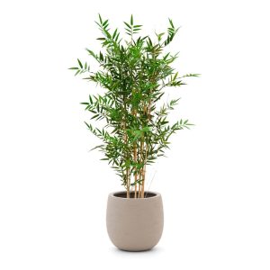 Designplants/Luca Lifestyle Japanischer Bambus Kunstpflanze (h:120 cm) mit Terreno Balloon Blumentopf
