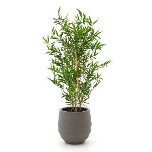 Designplants/Luca Lifestyle Japanischer Bambus Kunstpflanze (h:90 cm) mit Bordo Balloon Blumentopf