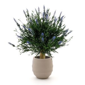 Designplants/Luca Lifestyle Lavendel Kugel Kunstpflanze (h:60 cm) mit Bordo Balloon Blumentopf