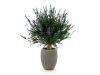Designplants/Luca Lifestyle Lavendel Kugel Kunstpflanze (h:60 cm) mit Grigio Tall Balloon Blumentopf