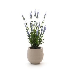 Designplants/Luca Lifestyle Lavendel Kunstpflanze (h:50 cm) mit Bordo Balloon Blumentopf