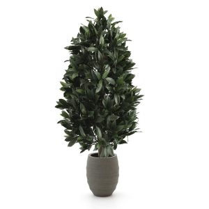 Designplants/Luca Lifestyle Lorbeer Pyramide Kunstpflanze (h:150 cm) mit Bordo Tall Balloon Blumentopf