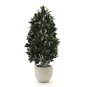 Designplants/Luca Lifestyle Lorbeer Pyramide Kunstpflanze (h:150 cm) mit Grigio New Egg Blumentopf