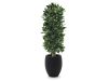 Designplants/Luca Lifestyle Lorbeer Säule Kunstpflanze (h:125 cm) mit Grigio Tall Balloon Blumentopf