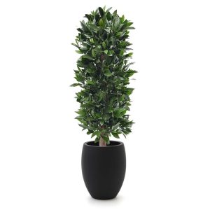 Designplants/Luca Lifestyle Lorbeer Säule Kunstpflanze (h:125 cm) mit Grigio Tall Balloon Blumentopf