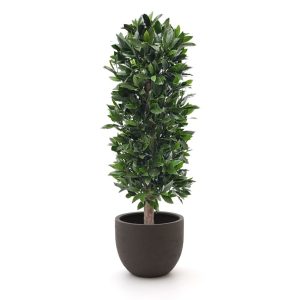 Designplants/Luca Lifestyle Lorbeer Säule Kunstpflanze (h:125 cm) mit Terreno New Egg Blumentopf