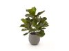 Designplants/Luca Lifestyle Lyrata Kunstpflanze (h:45 cm) mit Bordo Balloon Blumentopf