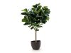 Designplants/Luca Lifestyle Lyrata Y Kunstbaum (h:220 cm) mit Ruvido Organic Blumentopf