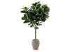 Designplants/Luca Lifestyle Lyrata Y Kunstbaum (h:220 cm) mit Terreno Tall Balloon Blumentopf
