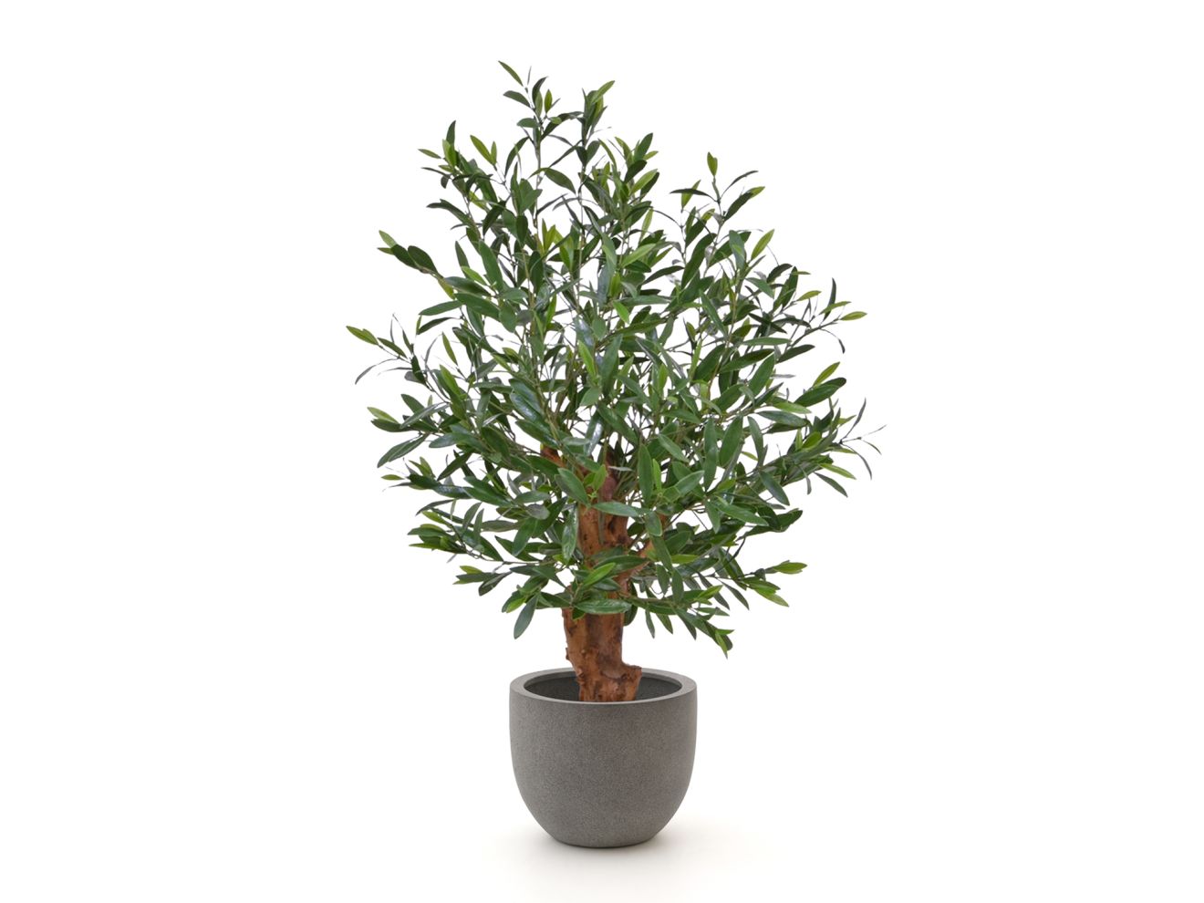 Designplants/Luca Lifestyle Oliven Bonsai Kunstpflanze (h:90 cm) mit Grigio New Egg Blumentopf