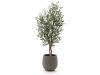 Designplants/Luca Lifestyle Oliven Kunstbaum (h:150 cm) mit Bordo Balloon Blumentopf