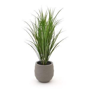 Designplants/Luca Lifestyle Reitgras Kunstpflanze (h:100 cm) mit Bordo Balloon Blumentopf