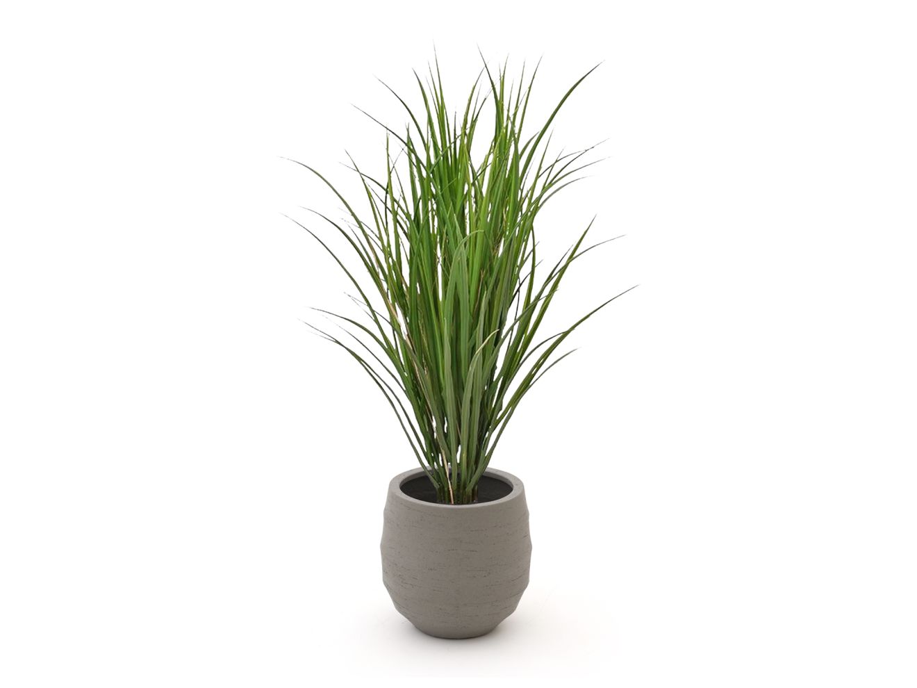 Designplants/Luca Lifestyle Reitgras Kunstpflanze (h:100 cm) mit Bordo Balloon Blumentopf