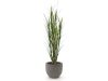 Designplants/Luca Lifestyle Riedgras Kunstpflanze (h:165 cm) mit Grigio New Egg Blumentopf