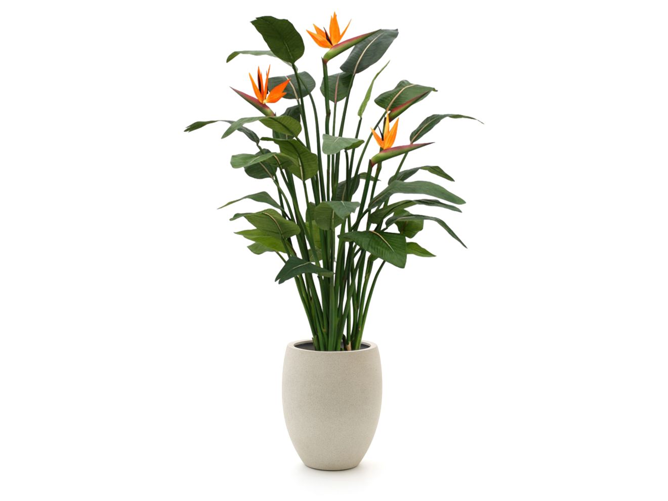 Designplants/Luca Lifestyle Strelitzia Kunstpflanze (h:145 cm) mit Grigio Tall Balloon Blumentopf
