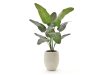 Designplants/Luca Lifestyle Strelitzia Nicolai Kunstpflanze (h:145 cm) mit Grigio Tall Balloon Blumentopf