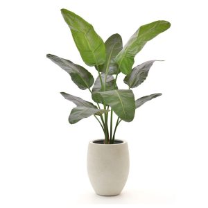 Designplants/Luca Lifestyle Strelitzia Nicolai Kunstpflanze (h:145 cm) mit Grigio Tall Balloon Blumentopf