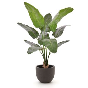 Designplants/Luca Lifestyle Strelitzia Nicolai Kunstpflanze (h:145 cm) mit Terreno New Egg Blumentopf