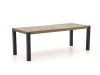 ROUGH-S Gartentisch 220x90x76 cm