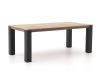 ROUGH-X Gartentisch 200x100x76 cm