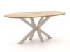 ROUGH-Y Ellips Bartisch 240x120 cm