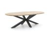 ROUGH-Y Ellips Gartentisch 200x110 cm