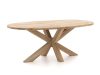 ROUGH-Y Ellips Gartentisch 200x110x72 cm