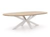 ROUGH-Y Ellips Gartentisch 280x130 cm