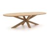 ROUGH-Y Ellips Gartentisch 280x130x72 cm