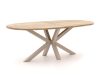 ROUGH-Y Ellips High Dining Gartentisch 240x120 cm