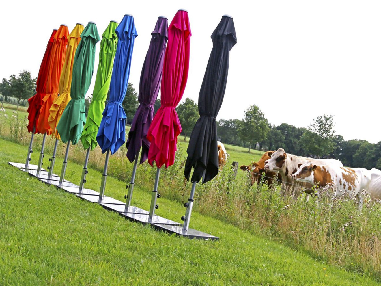 Shadowline Push-Up Sonnenschirm 240x240 cm