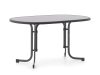 Sieger Mecalit Gartentisch klappbar 140x90x72 cm