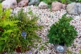 Solarleuchten für den Garten kaufen – Kaufratgeber