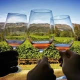 Welches Weinglas für welchen Wein? – Glastypen