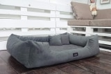 Hundesofa kaufen – Vorteile, Marken, Empfehlungen