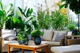 Ein kleines Wohnzimmer einrichten – Tipps & Tricks