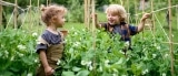 7 Tipps zum nachhaltigen Wohnen – Ratgeber