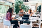 Büro neu einrichten – Ratgeber & Tipps zur Gestaltung & Möbelwahl