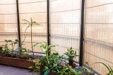 Sichtschutz für Terrasse und Garten: Welche Lösung passt wirklich?